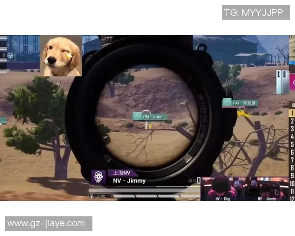 esports数据和平精英V5版本包夹战术深度解析与实战应用技巧分享